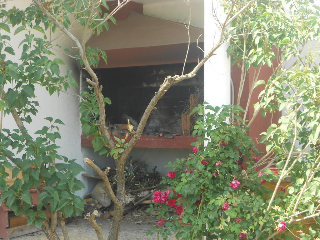 Apartment Niko Vir Exterior photo